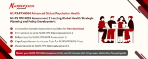 NURS FPX 8024 Assessment 3 Leading Global Health Strategic Planning and Policy Development